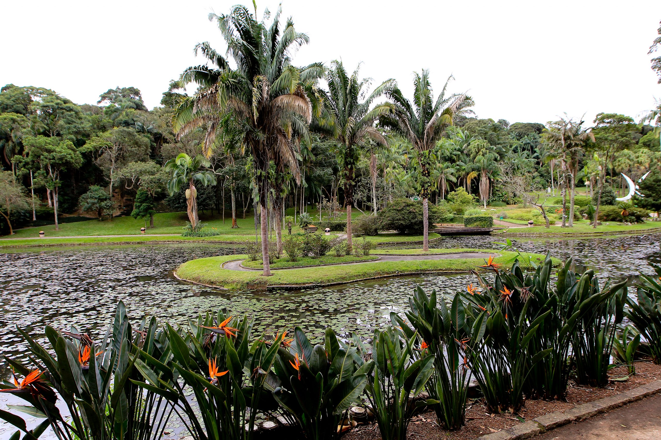 jardim botânico